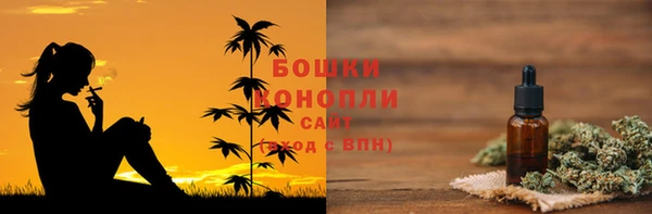 ешки Арсеньев