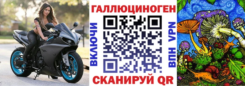 наркота  Пошехонье  Галлюциногенные грибы ЛСД 